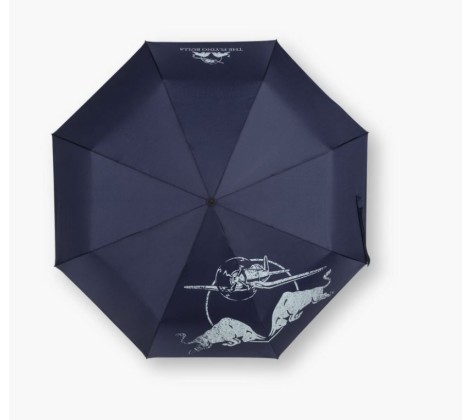 Regenschirm - The Flying Bulls 