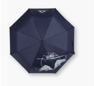 Regenschirm - The Flying Bulls 
